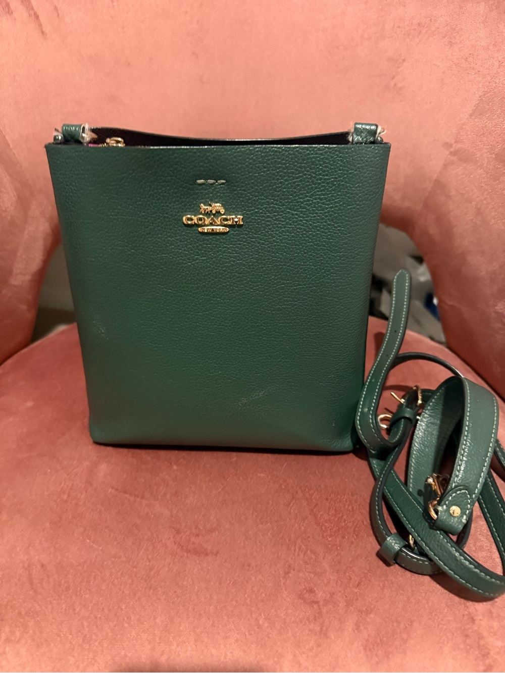 Coach Mollie 22 Crossbody Bag in Forest Green